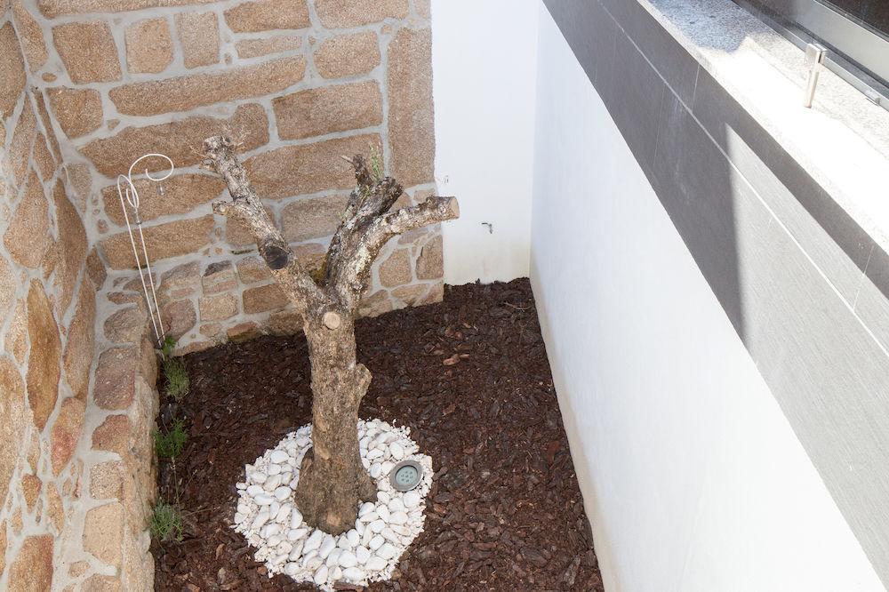 Casas Do Patio Country Houses & Nature Caldas da Felgueira ภายนอก รูปภาพ