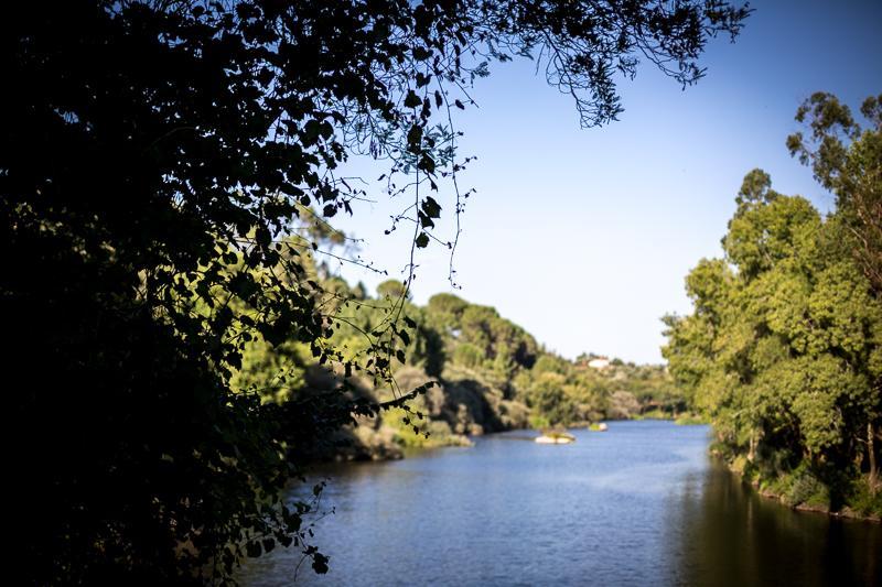 Casas Do Patio Country Houses & Nature Caldas da Felgueira ภายนอก รูปภาพ