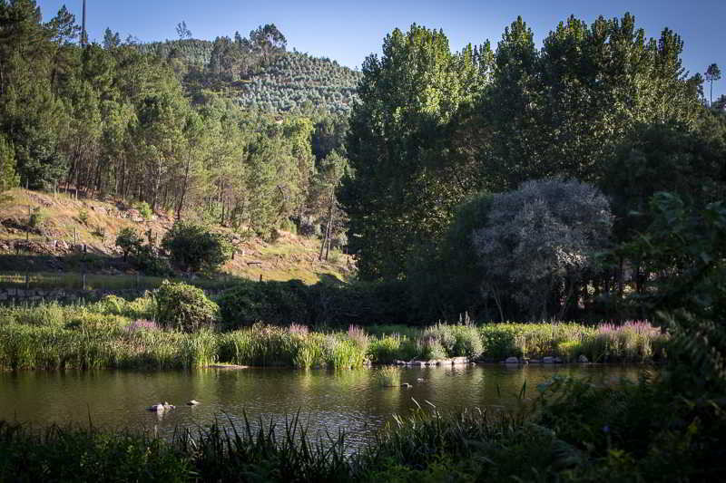 Casas Do Patio Country Houses & Nature Caldas da Felgueira ภายนอก รูปภาพ